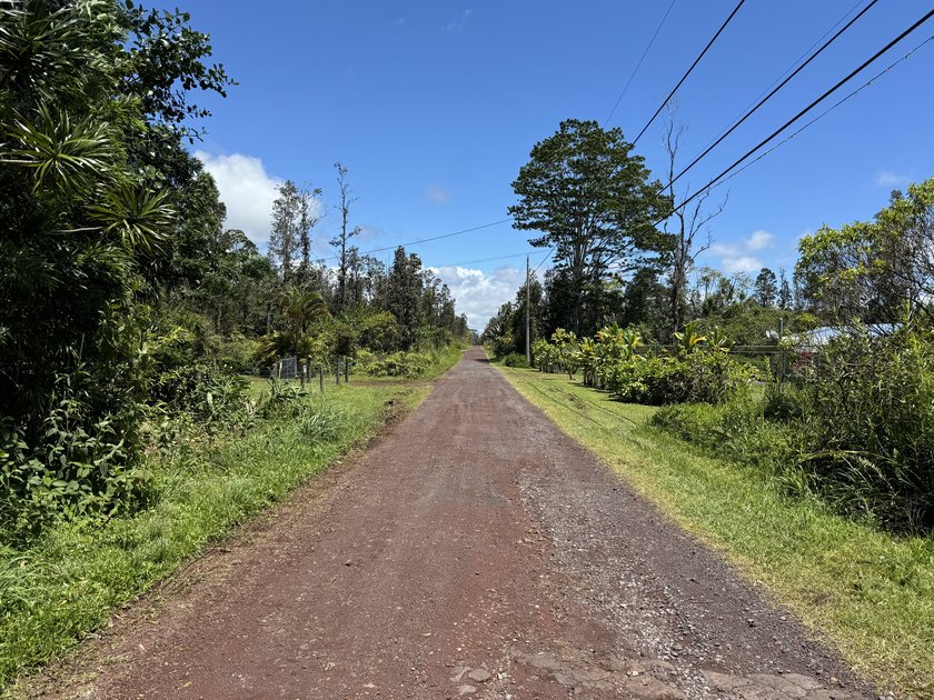 Now is the perfect time to invest in this this quarter acre - photo 9