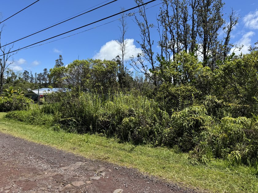 Now is the perfect time to invest in this this quarter acre - photo 10