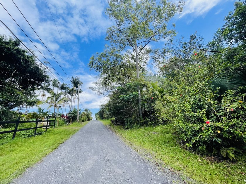 Enjoy building your dream home on this lush undeveloped 1 Acre - photo 4