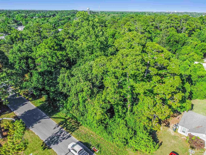 A rare opportunity to acquire 9 contiguous lots totaling - photo 22