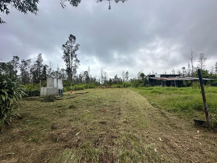 Retired equestrian farm on 3 acres - ready for a new generation! - photo 3