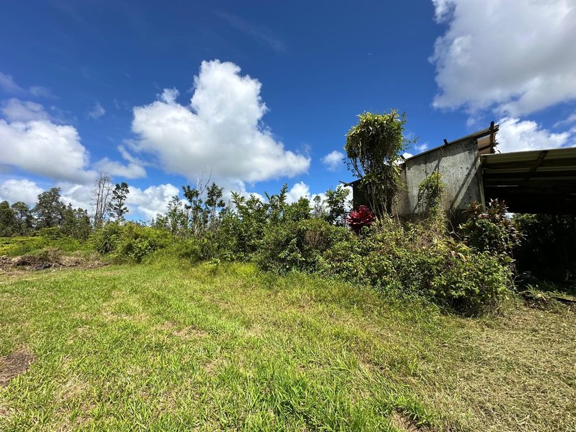 Retired equestrian farm on 3 acres - ready for a new generation! - photo 5
