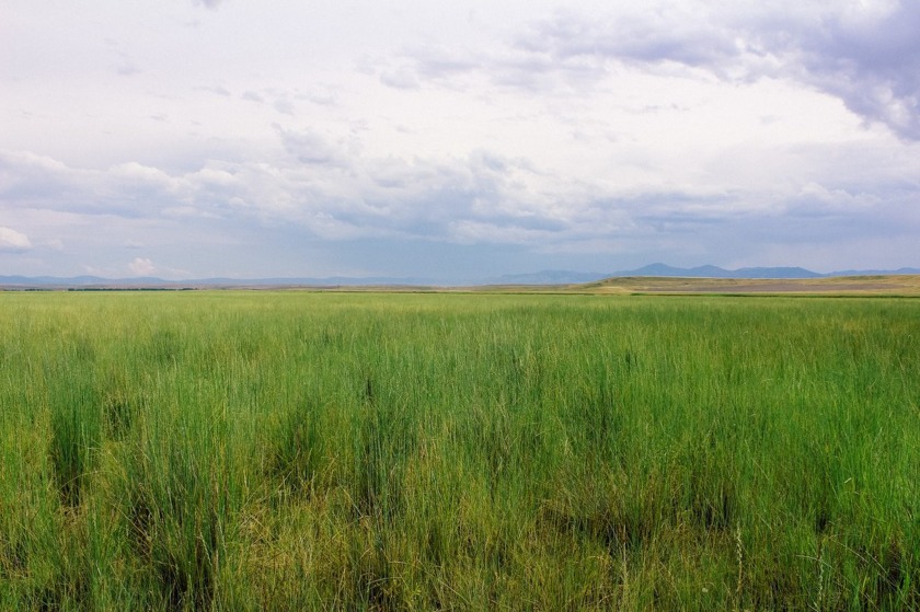 Little Muddy Creek Ranch, Cascade, MT 59421, 5127847