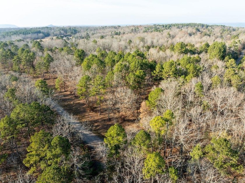 Beautiful wooded lot in the desirable Primrose Creek - photo 5