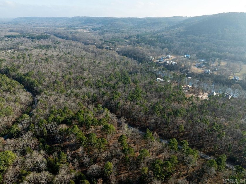 Beautiful wooded lot in the desirable Primrose Creek - photo 8