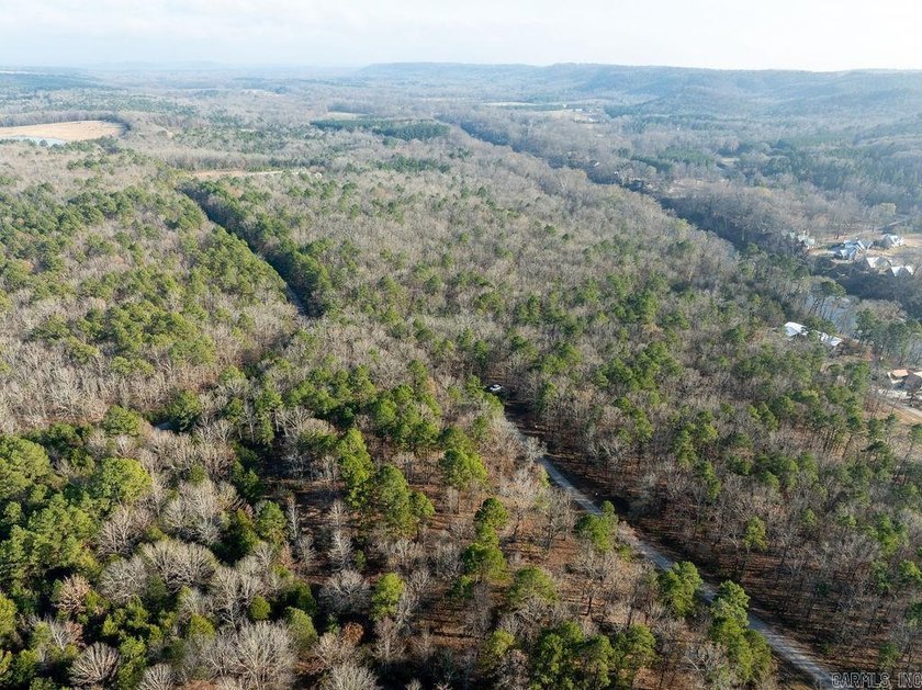 Beautiful wooded lot in the desirable Primrose Creek - photo 9