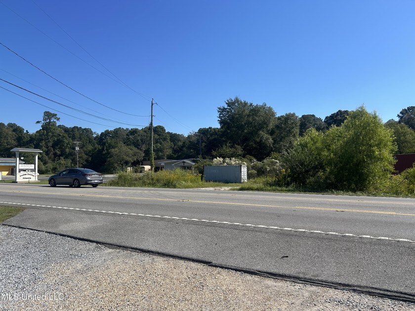 Nice commercial lot on Hwy 613 north of I-10 on the east side of - photo 3
