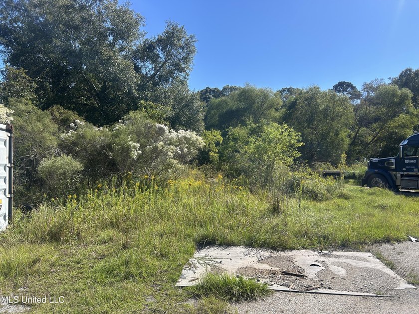 Nice commercial lot on Hwy 613 north of I-10 on the east side of - photo 6