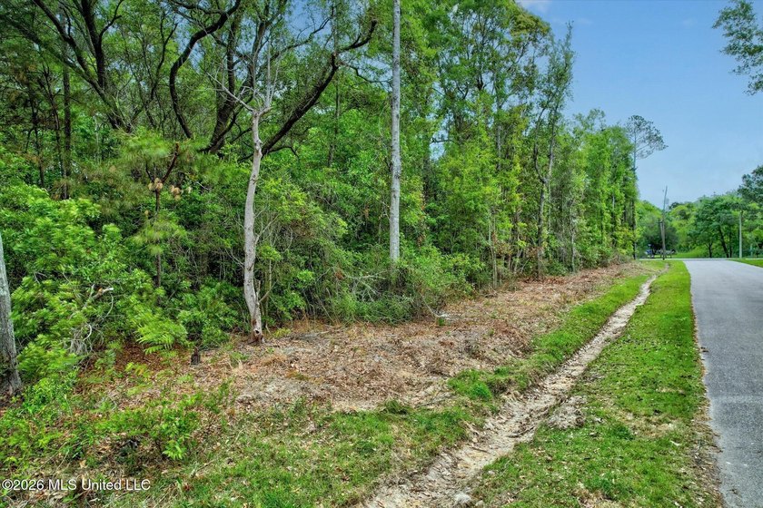 Just under 3/4 acre in Waveland-minutes to Old Town, beaches - photo 2