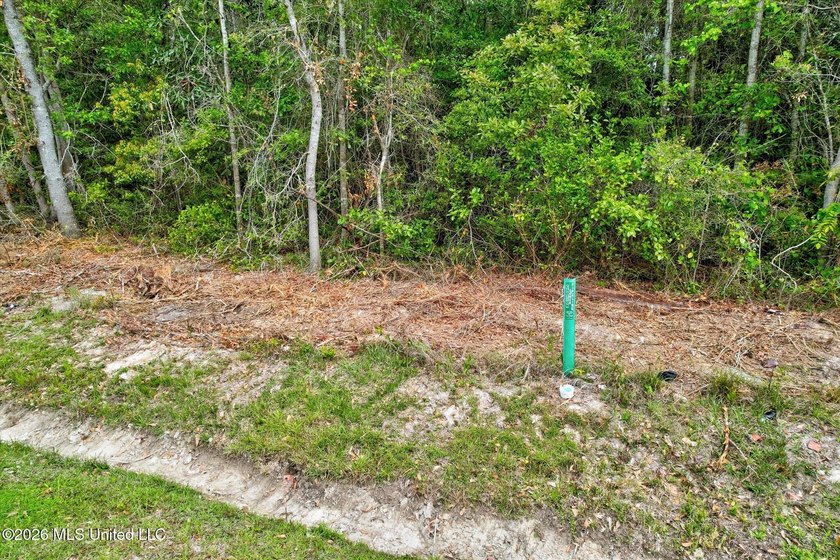 Just under 3/4 acre in Waveland-minutes to Old Town, beaches - photo 3