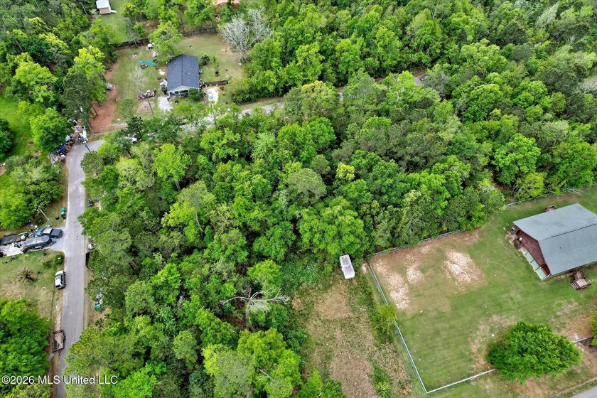 Just under 3/4 acre in Waveland-minutes to Old Town, beaches - photo 7