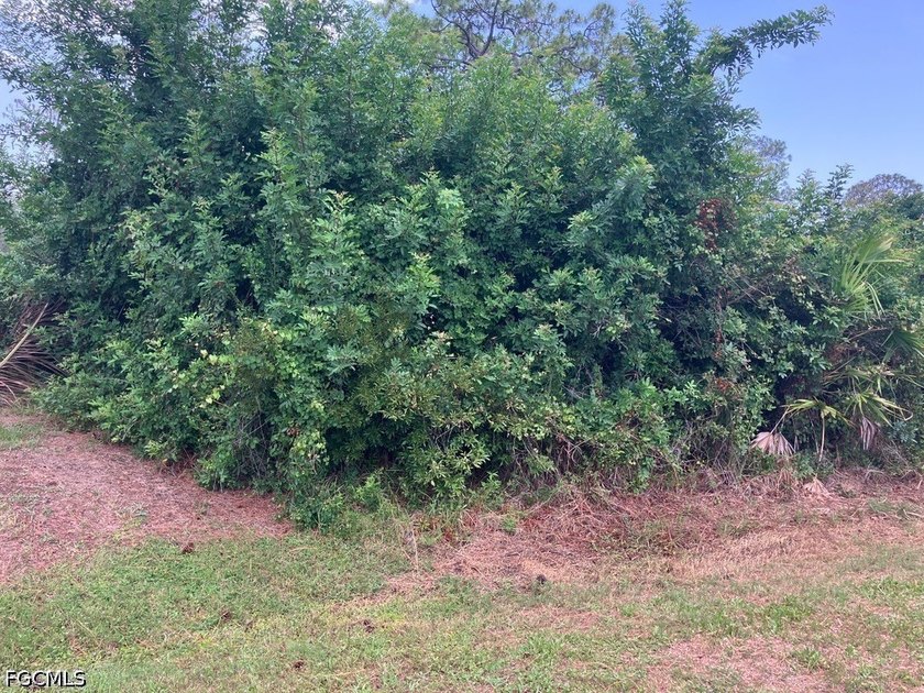 Build your dream home in the quite section of Port Charlotte - photo 3