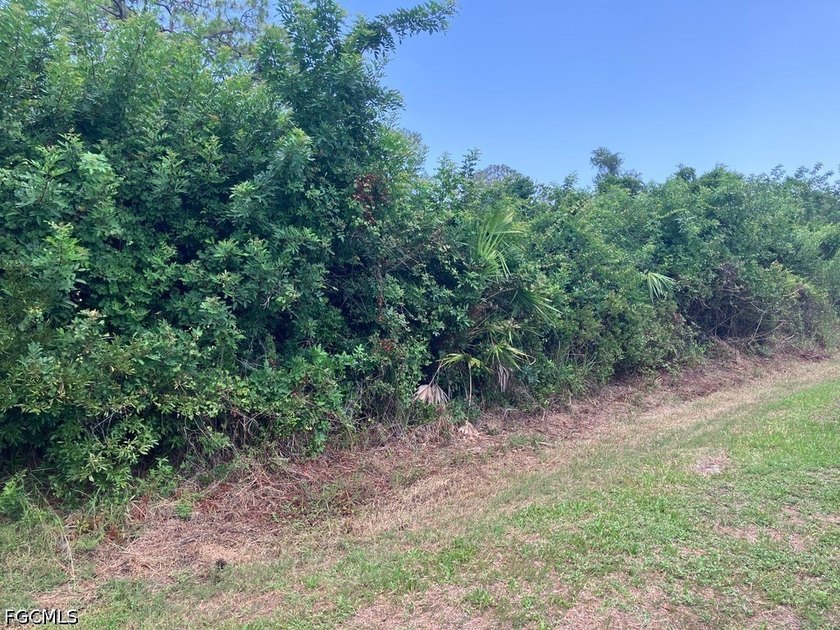 Build your dream home in the quite section of Port Charlotte - photo 4