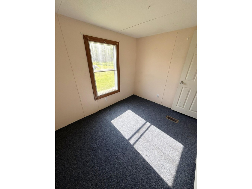 Affordable living situated within a quiet park in Madison. One - photo 22