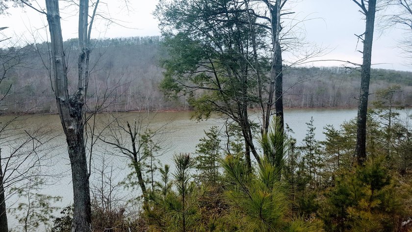 Beautiful view up and down the main channel from this wooded lot - photo 5