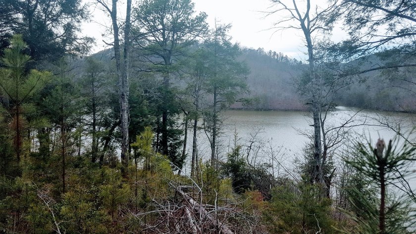 Beautiful view up and down the main channel from this wooded lot - photo 8