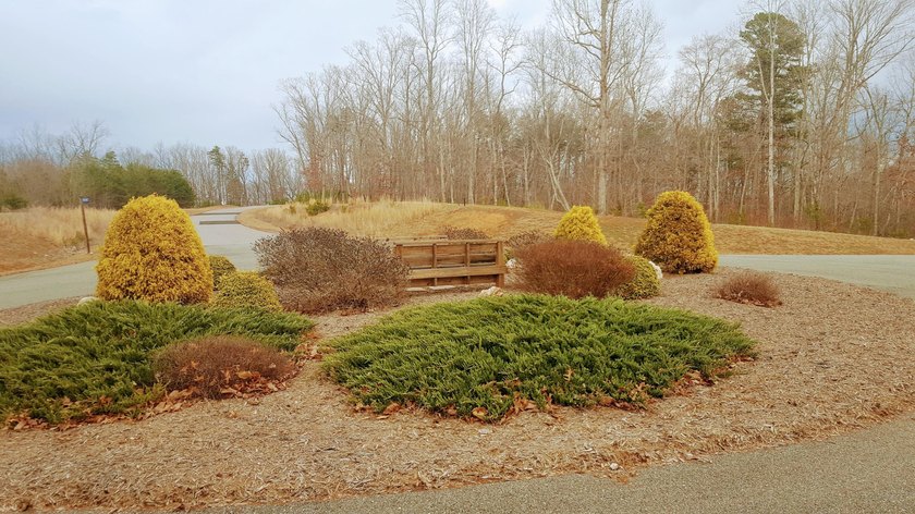 Beautiful view up and down the main channel from this wooded lot - photo 9