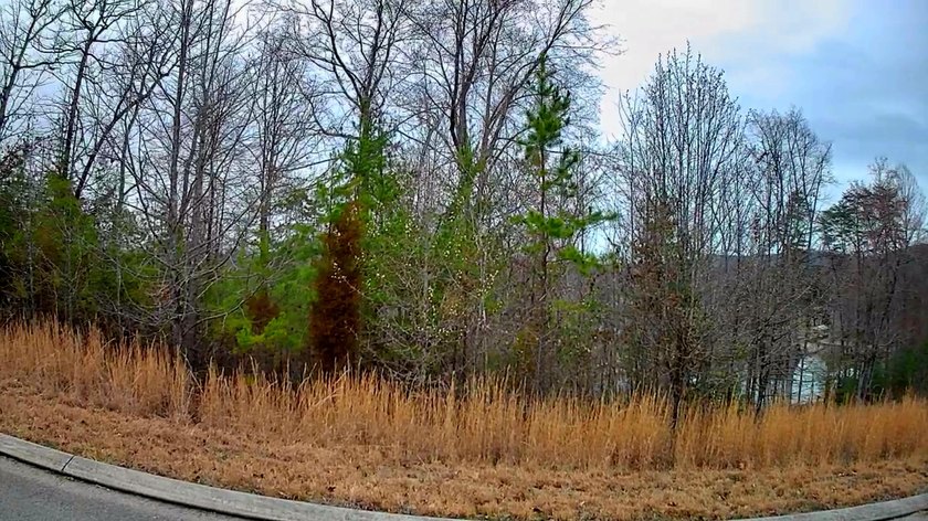 Are you looking for the perfect spot to build your dream home? - photo 3