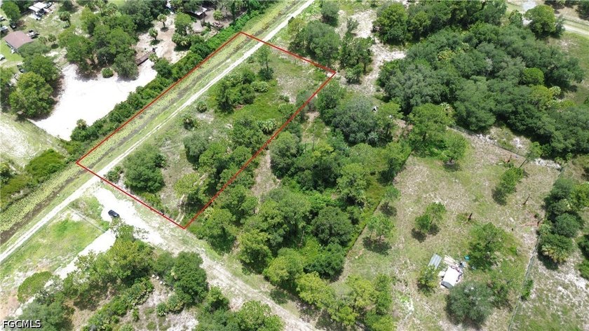 1.25 acres for sale in Montura Ranches at a dead end unpaved - photo 5