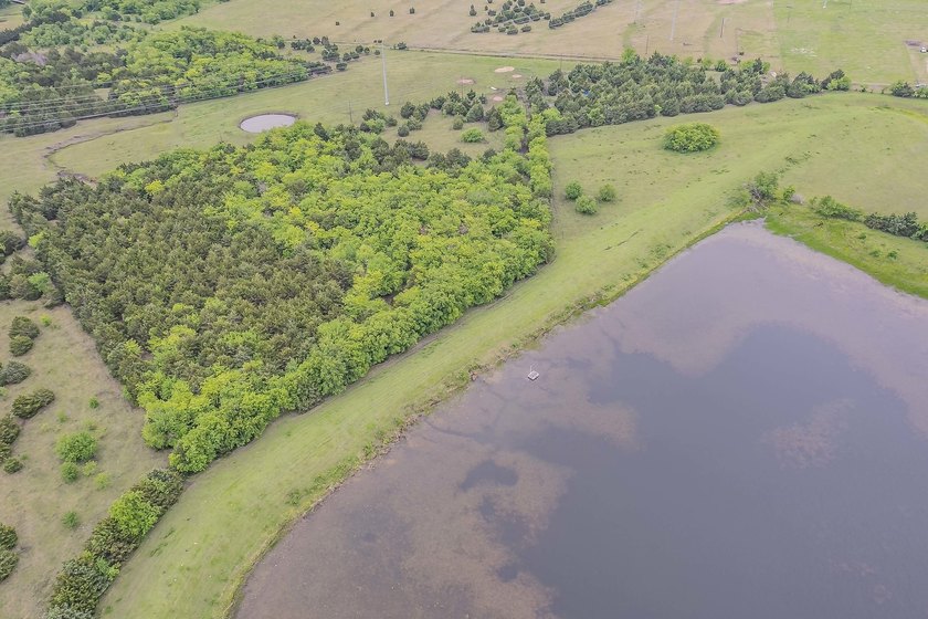 Rare opportunity to own a private, Ag-exempt estate just minutes - photo 4