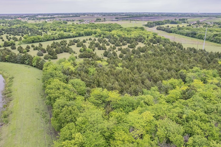 Rare opportunity to own a private, Ag-exempt estate just minutes - photo 10