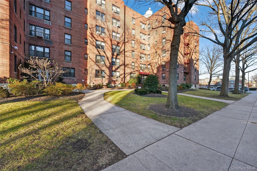 Welcome to Linden Hill. This bright corner one-bedroom co-op - photo 25