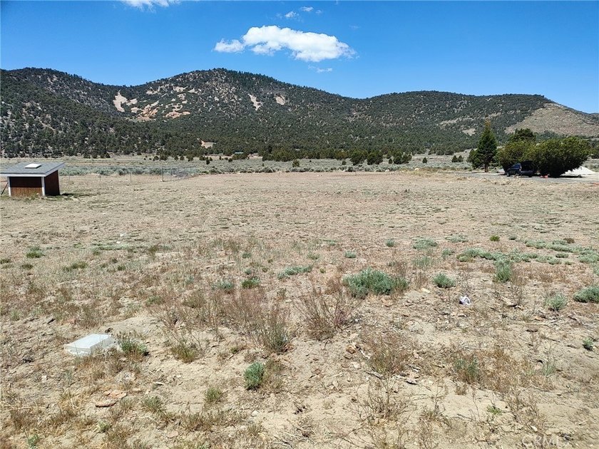45313 4th Ln - photo 4