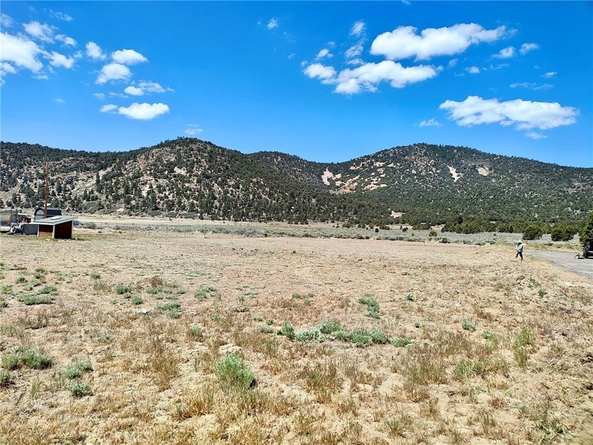45313 4th Ln - photo 5