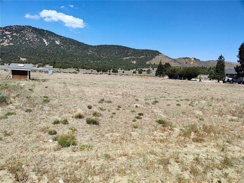45313 4th Ln - photo 9