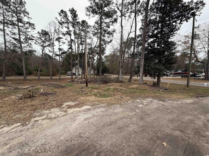 Beautifully Renovated Single-Level Home on a Spacious Acre Lot - photo 4