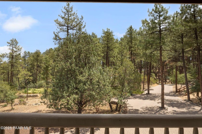 This exceptional property offers privacy and majestic tall pines - photo 38