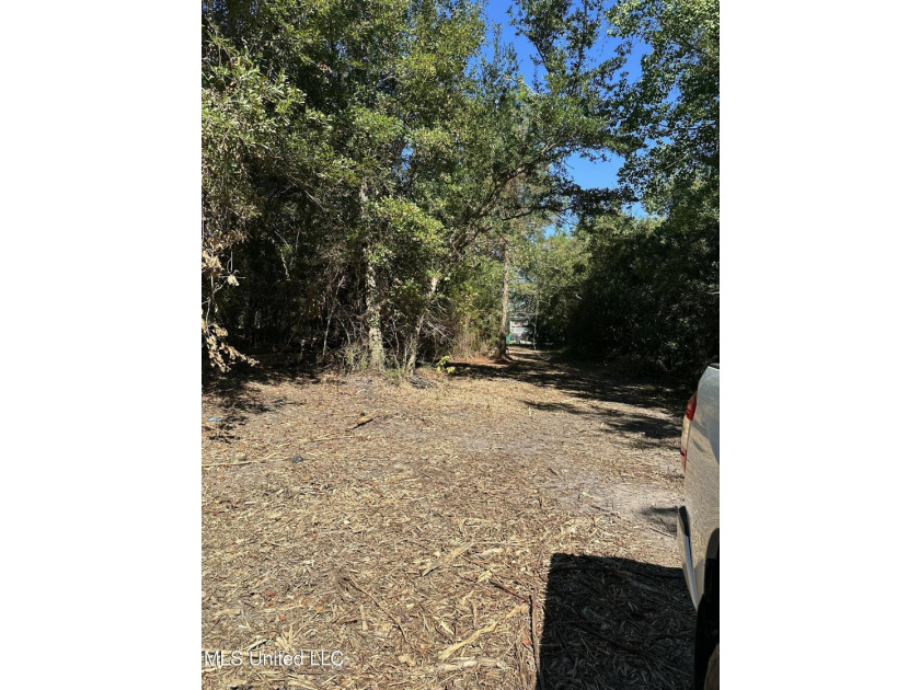 Close to Beach. Has an 20' easement from Farve ST and 126' on - photo 2