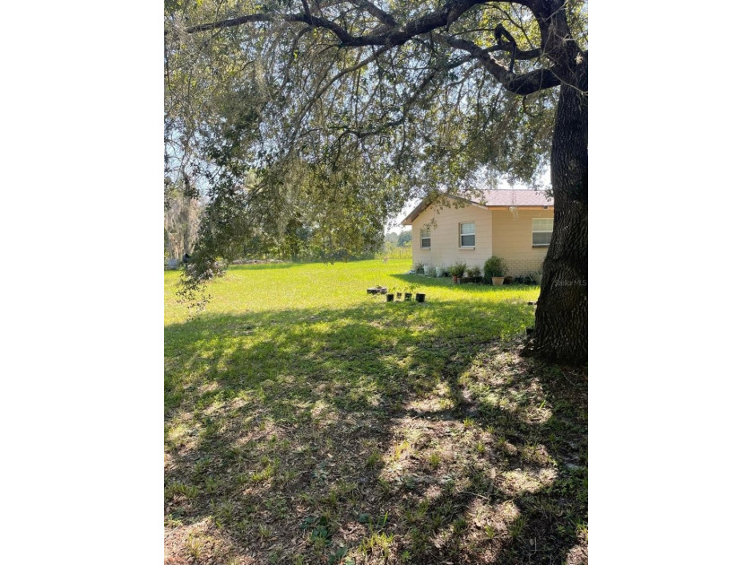 NO FLOOD ZONE! NO HOA! NO CDD FEES! This 3 bedroom, 1 bath Home - photo 4