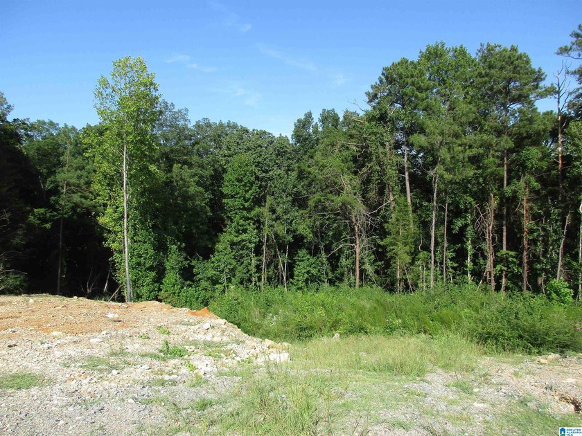 Excellent Opportunity to develop in a PRIME area of the growing - photo 5