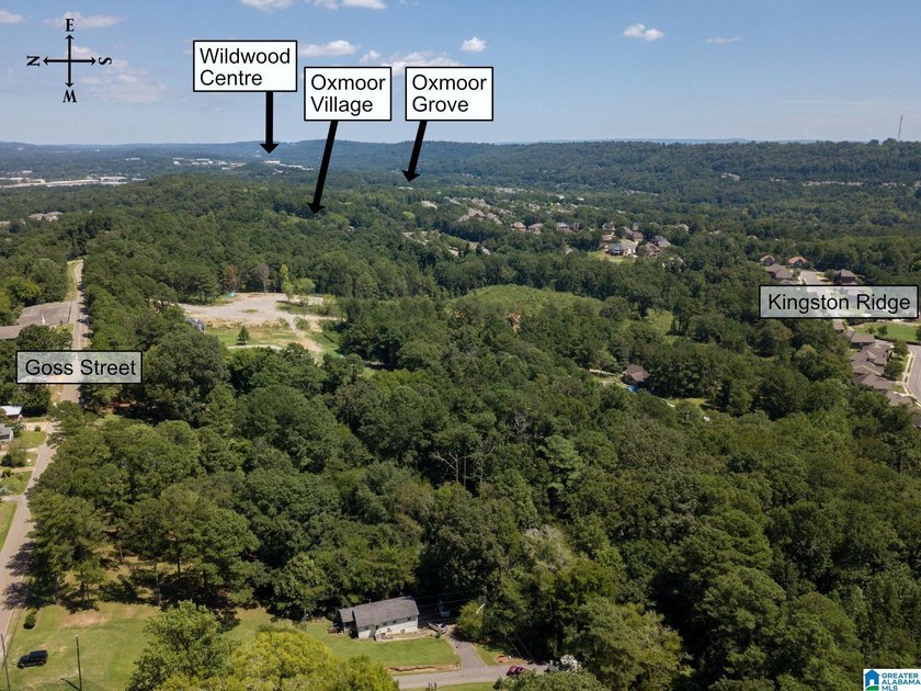 Excellent Opportunity to develop in a PRIME area of the growing - photo 10