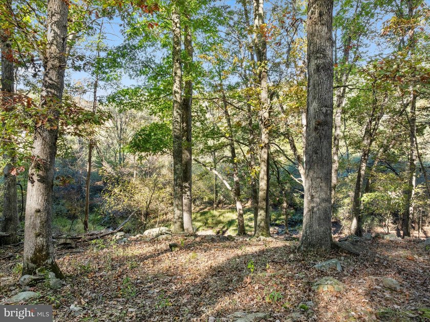 Welcome to your peaceful mountain escape nestled within the - photo 29