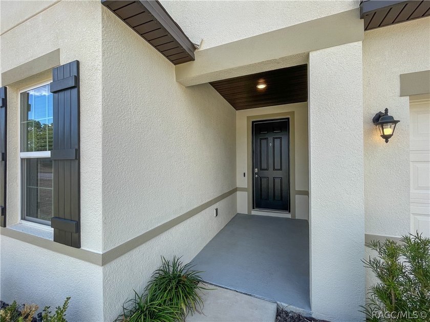 Move-in ready and situated on a desirable corner double lot - photo 42