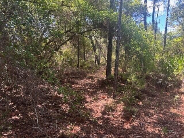 0.88 acres in the path of development. Owner Financing - photo 5
