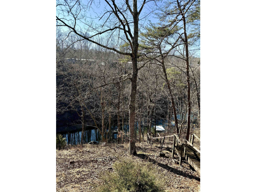 UNRESTRICTED Smith Lake Waterfront Opportunity!
Rare chance to - photo 4
