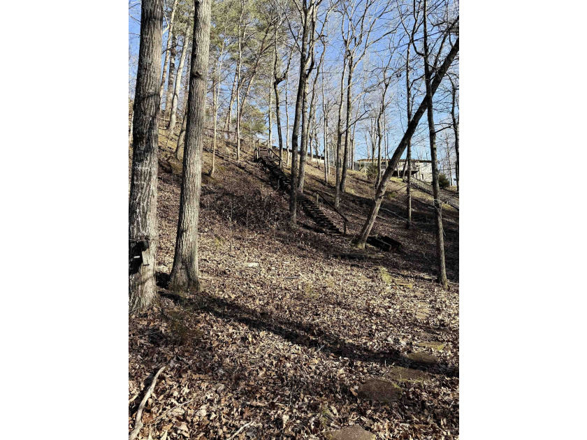 UNRESTRICTED Smith Lake Waterfront Opportunity!
Rare chance to - photo 7