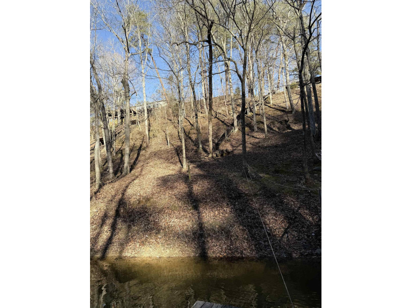 UNRESTRICTED Smith Lake Waterfront Opportunity!
Rare chance to - photo 9