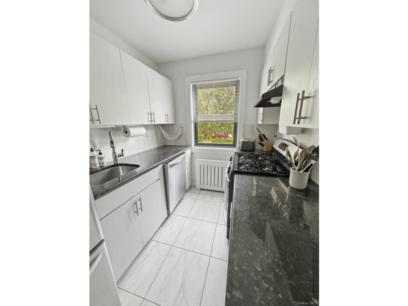 Totally Renovated Lower Level One Bedroom Clearview Gardens Coop - photo 4