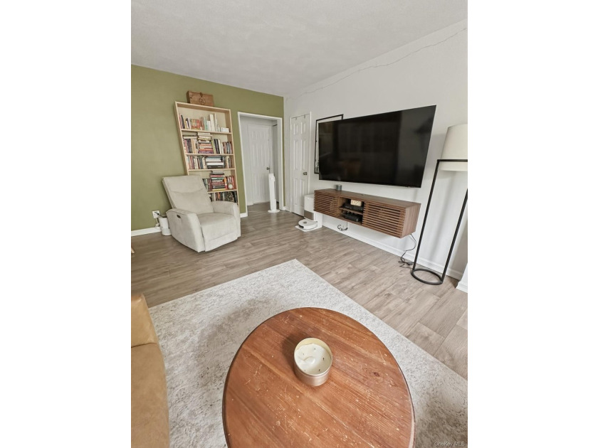 Totally Renovated Lower Level One Bedroom Clearview Gardens Coop - photo 8
