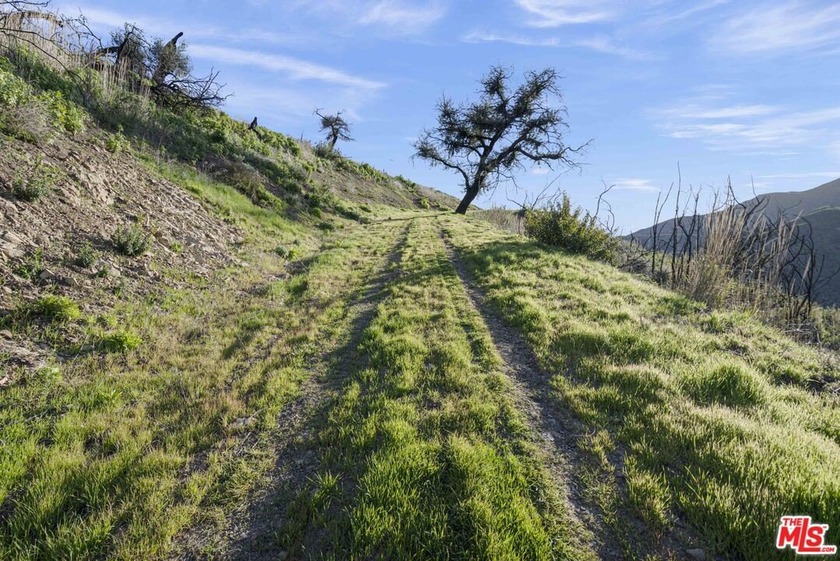 An exceptional opportunity spanning approximately 66 acres - photo 6
