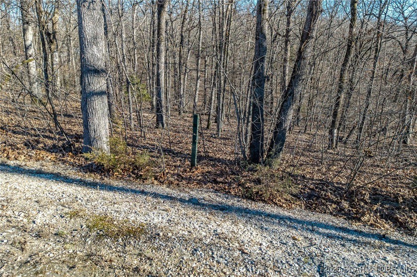 Surrounded by mature trees and natural Ozarks beauty, this - photo 13