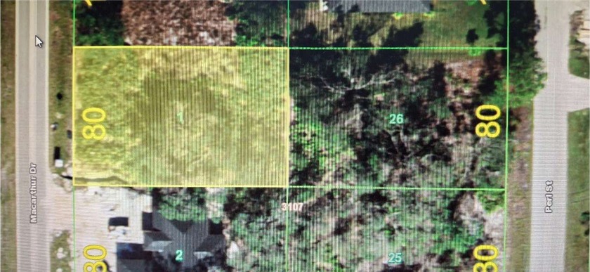 46 of an acre in Port Charlotte, These are 2 lots being sold - photo 3