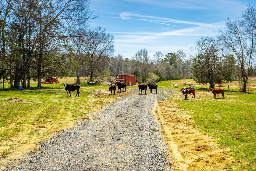 ** New Well on Property** Discover your own 42.4-acre haven! - photo 4