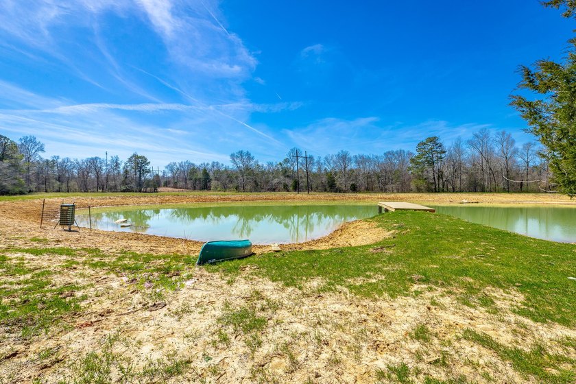 ** New Well on Property** Discover your own 42.4-acre haven! - photo 6