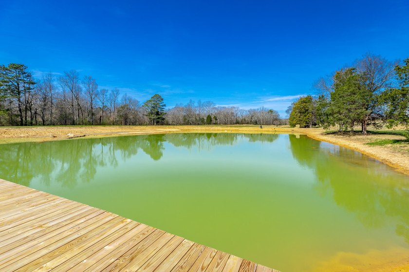 ** New Well on Property** Discover your own 42.4-acre haven! - photo 8