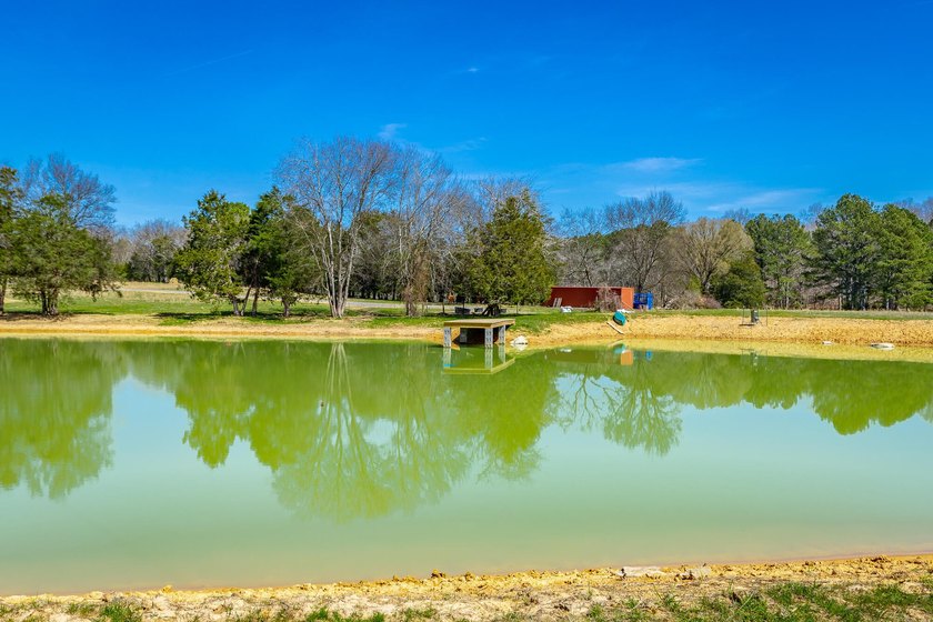 ** New Well on Property** Discover your own 42.4-acre haven! - photo 9